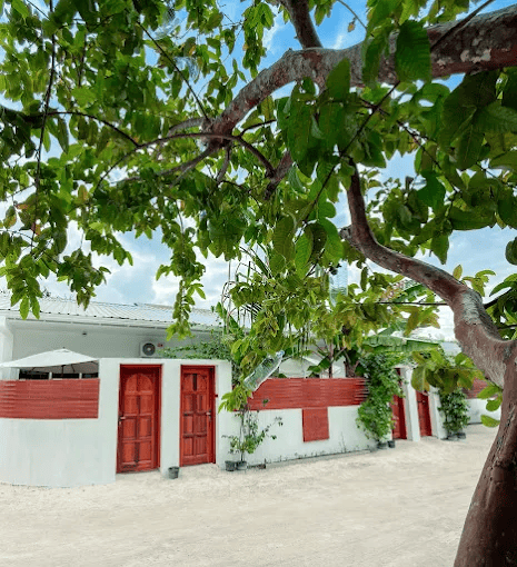 The Wave Dhigurah